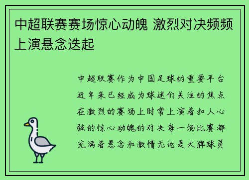 中超联赛赛场惊心动魄 激烈对决频频上演悬念迭起