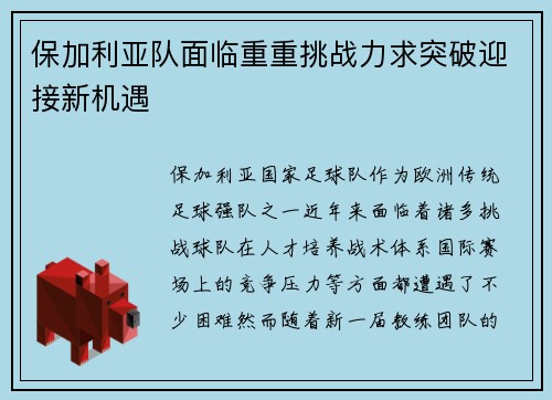 保加利亚队面临重重挑战力求突破迎接新机遇